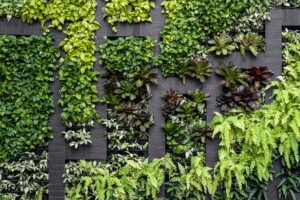 Vertical Garden Wall Vertical Garden Wall