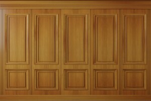 Wood Panels Backdrop Wood panels backdrop